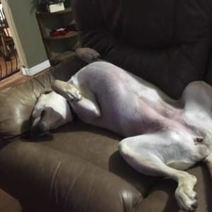 Meet your Posher, Isaac